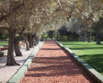 1704038544-1189195-master